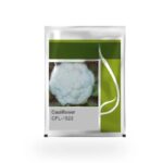 Cauliflower Seeds – High Yield, Compact Dome Curd Seeds