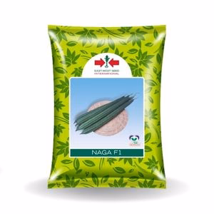 eastwest naga ridge gourd seeds file 2064