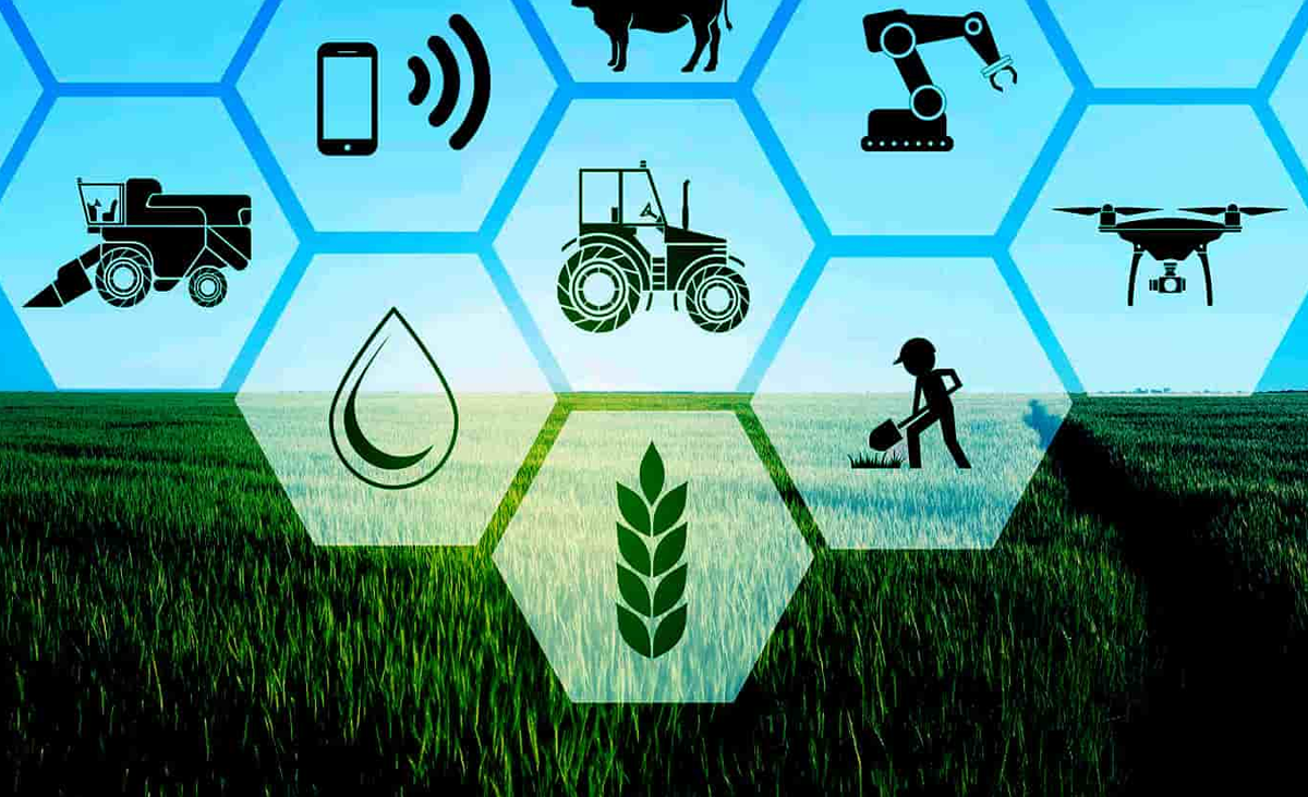 farm web