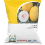 F1 Hy MUSKMELON SEEDS
