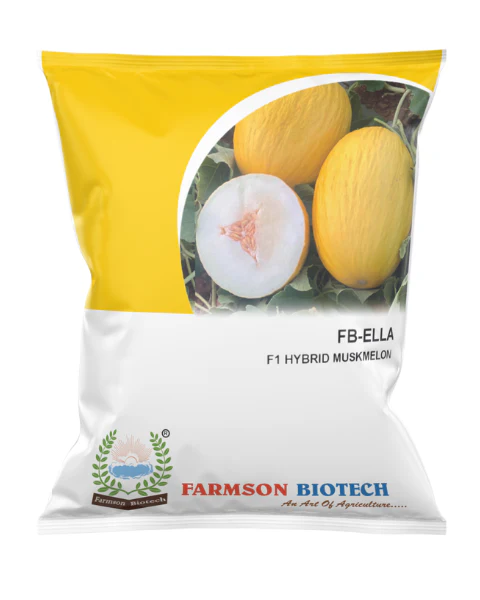 fb ella f1 hy muskmelon seeds file 15686
