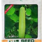 F1 Hybrid Bottle Gourd Seeds – Early, High-Yield, Parrot Green Fruits