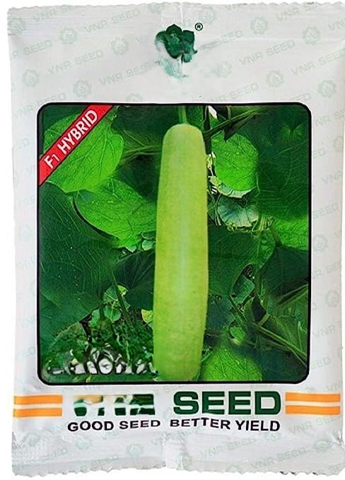 haruna bottle gourd file 5642 1