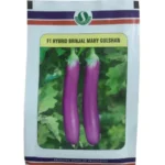 Brinjal Seeds - High Yield, Pink, Long-Shaped