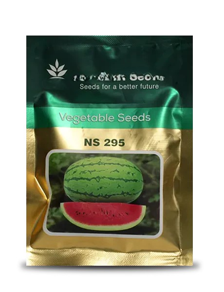 ns 295 file 1265