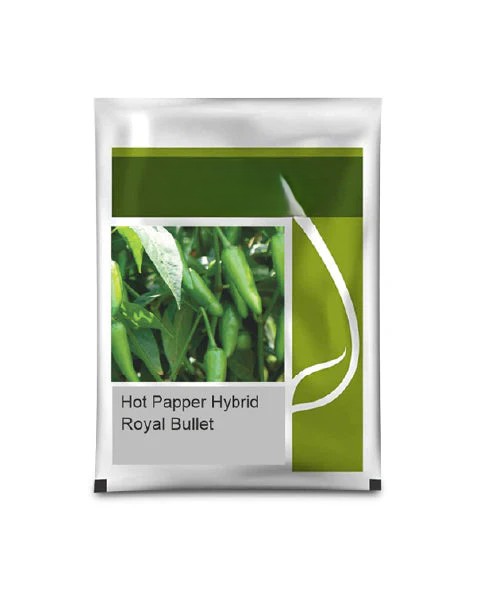 royal bullet chilli seeds file 20155