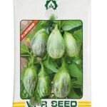 F1 Hybrid Brinjal Seeds – High Yield, Cluster Bearing Variety