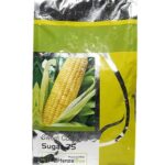 Sweet Corn Seeds - Early maturity, Sweet, High Yield