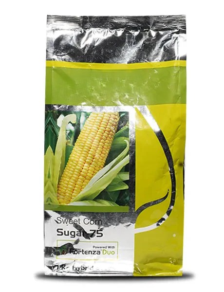 sweet corn syngenta file 970