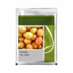 TO- 1057 Tomato Seeds - High Yield, Heat Set, Long Distance Transport